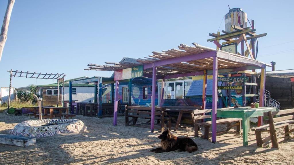 Lobo Hostel Bar Cabo Polonio Exterior foto